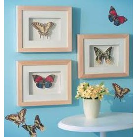 Samolepící dekorace  Motýli - motýlci