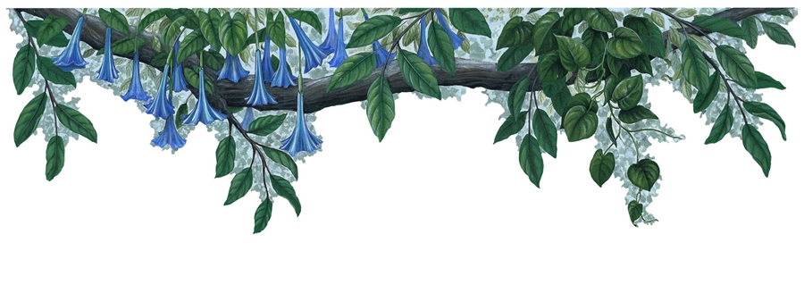 Samolepící dekorace Rostlinná bordura modrý květ