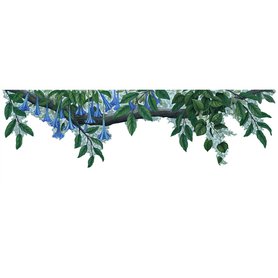 Samolepící dekorace  Rostlinná bordura modrý květ