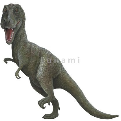 Samolepka na zeď dětského pokoje. Obrázek Tyranosaurus Rex T-Rex