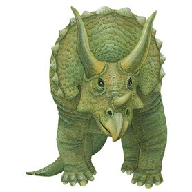 Samolepky dinosauři - Samolepící dekorace Triceratops