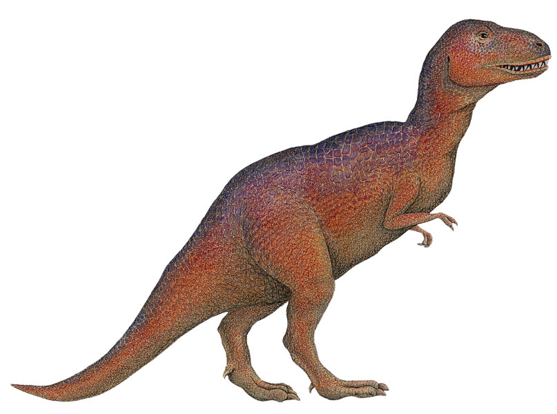 Samolepky dinosauři - Samolepící dekorace Tyrannosaurus Rex (T-Rex)