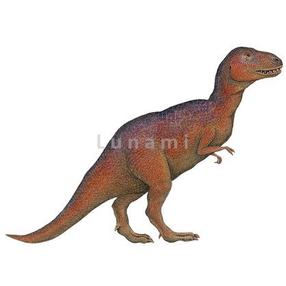 306_Samolepky dinosauri samolepici dekorace nalepky obrazky dinosauru T-Rex.jpg