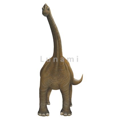 Samolepky dinosaurů. Dinosaurus Bronchiosaurus.