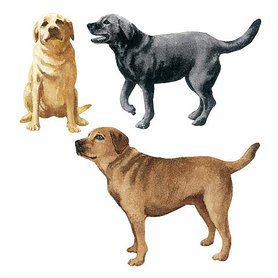 Dekorační obrázky Psů - dekorace psi