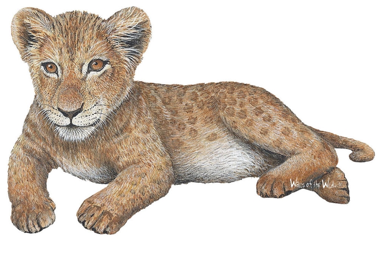 Samolepící dekorace Lev mládě
