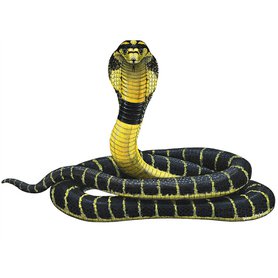 Samolepící dekorace  Had kobra